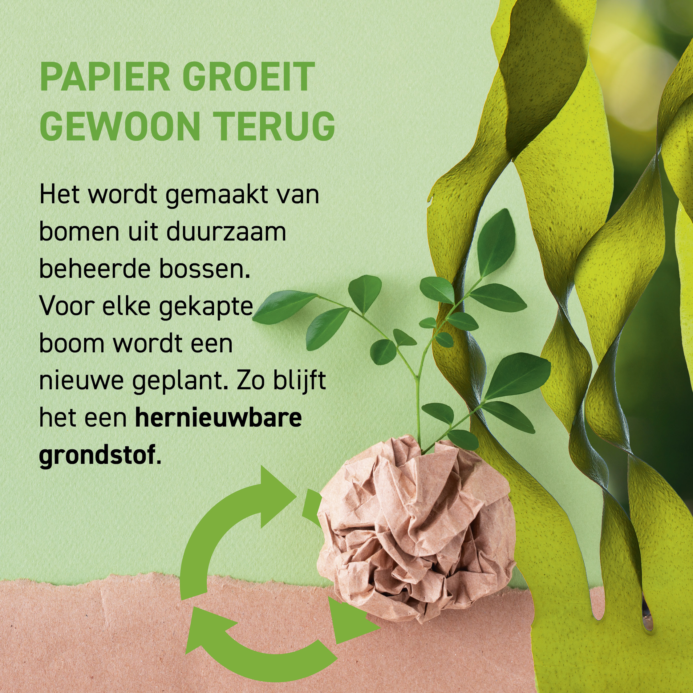 Mediagraaf Visual papier caroussel